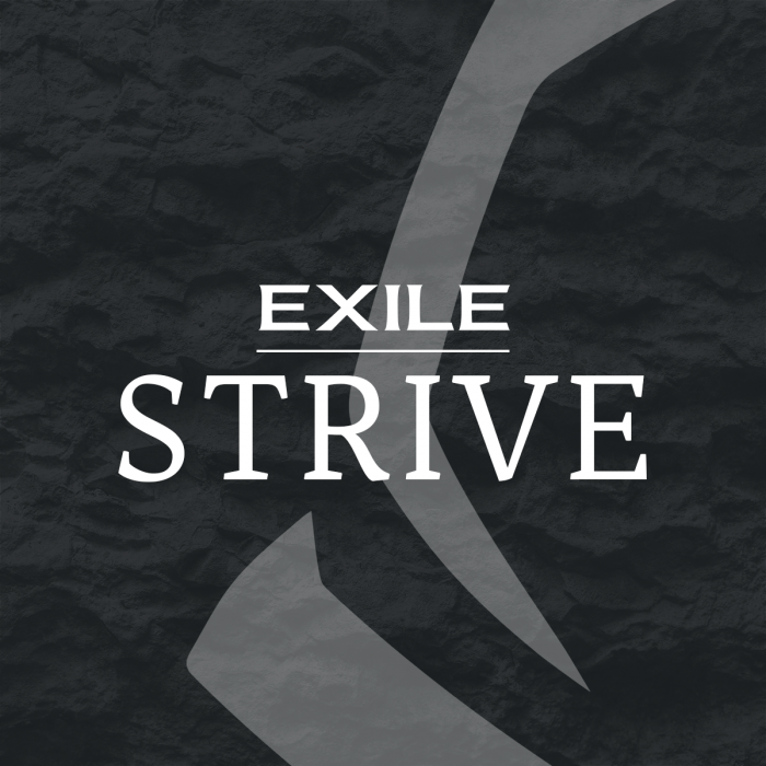 exile strive basic fitness coaching