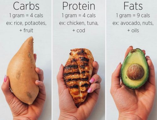 Do you track your macros?